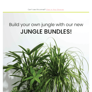 Build Your Own Jungle! 🌿🌴🍃