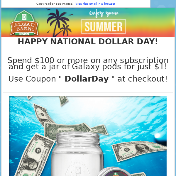 National $1 Day Deal Inside! + Did you get a free 4 pack this week??