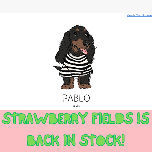 BEST SELLERS ARE BACK! 🍓