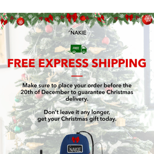 Guarantee Christmas Delivery!