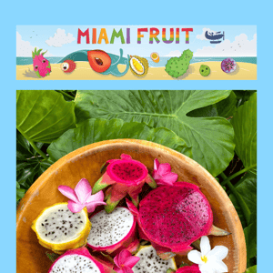Dragonfruit Mix Box is Back 💖