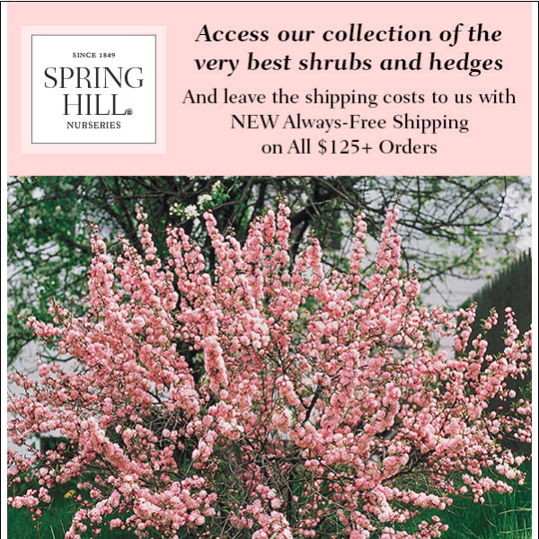 Shrubbery Ships FREE with Always-Free Shipping Over $125