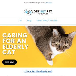 🐱 Ask the Expert | A Guide to Caring for Senior Cats