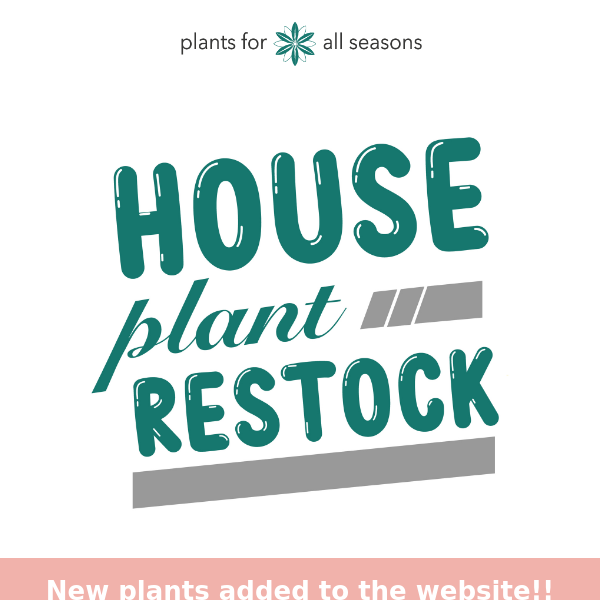 Houseplant Restock Alert