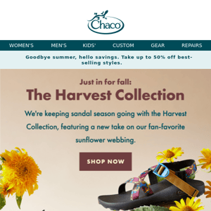 Just in: The Harvest Collection 🍂🌻