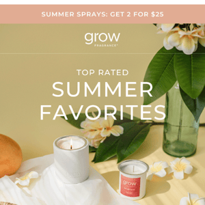 Customer Favorites: Summer Scents Edition 🏖️