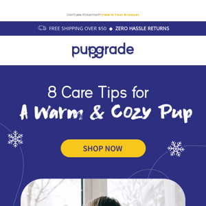 ❄️ 8 Winter Care Tips for a Happy & Safe Pup! 🐾