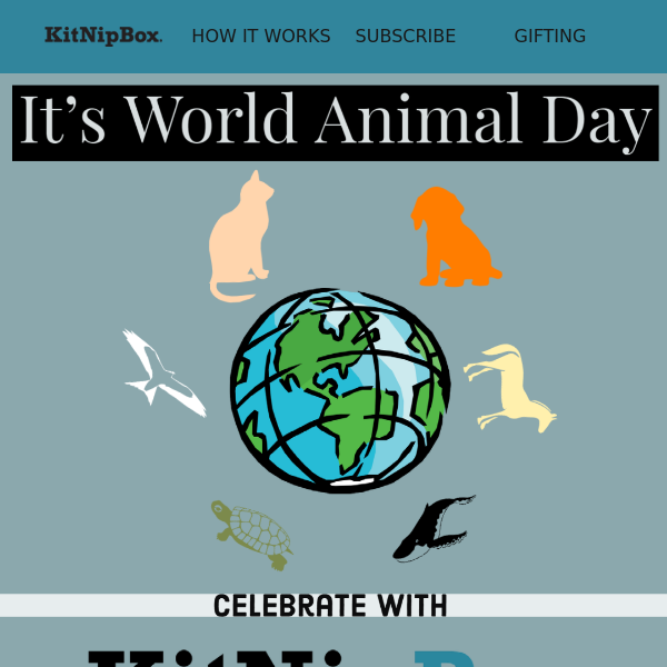 Celebrate World Animal Day with KitNipBox! 🌐😻