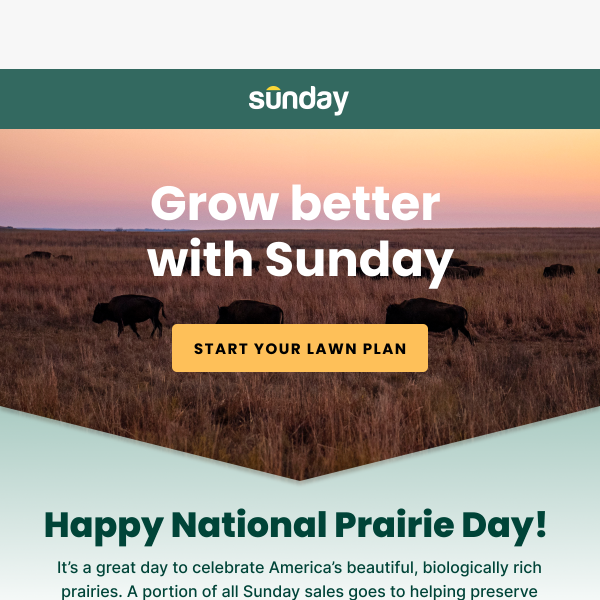 Celebrate National Prairie Day Sunday Lawn Care