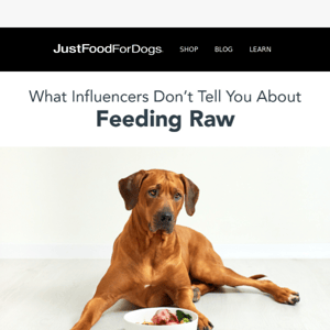 Feeding Raw Food: What Influencers Don't Tell You