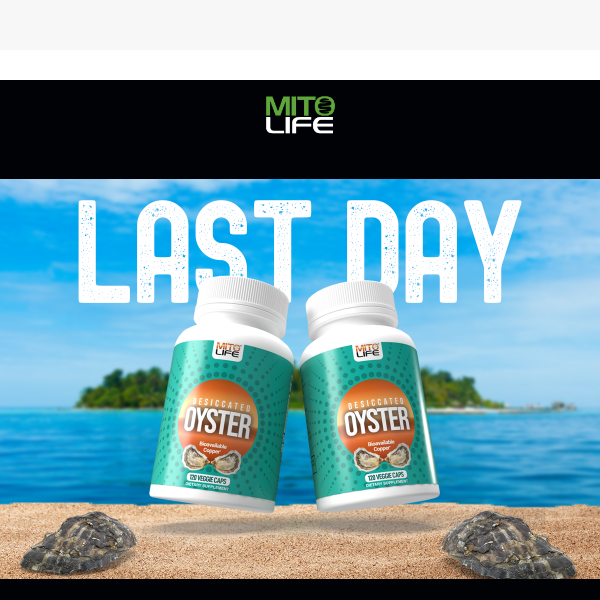 Last Day BOGO Sale, Dont Miss Out!