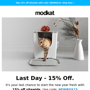 🎉🐈  LAST DAY - 15% off