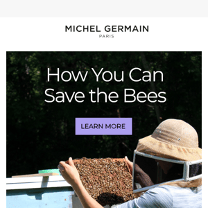 How you can save the bees at home