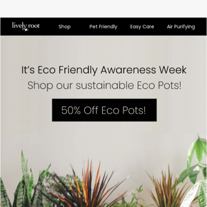 Shop Eco-Friendly & 50% Off Eco Pots 🌿