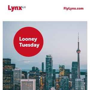 Fares going low on a Tuesday ✈️🏙️