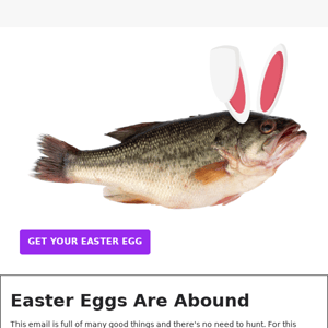 Easter Eggs Inside - Free Gifts and Fishing Tips - GoFish Cam