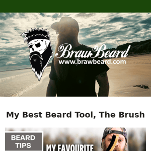 My Best Beard Tool, The Brush