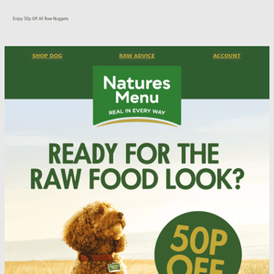 Ready For The Raw Food Look pet parent? 💚