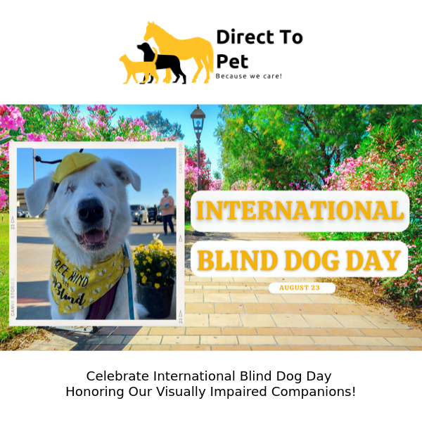 See the World through Their Hearts: Join us for International Blind Dog Day!
