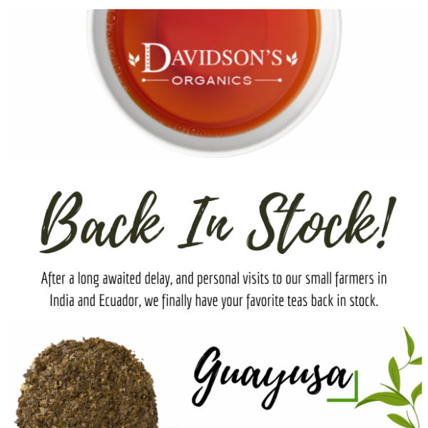 Your Favorite Teas Are Back In Stock