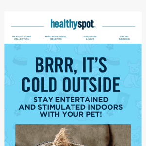 Is Your Pet Ready For The Cold? ❄️