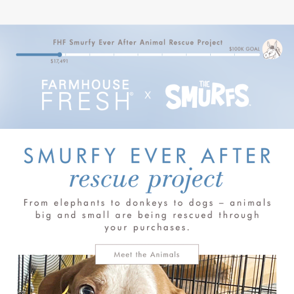 Create More ‘Smurfy Ever Afters’ for Animals in Need!💙