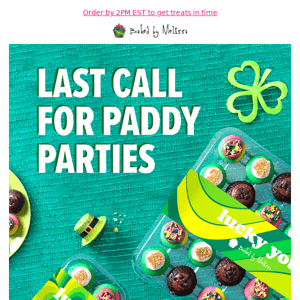 LAST CHANCE to paddy! ☘️🌈