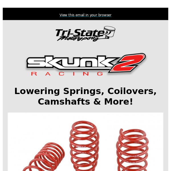 Skunk2 Lowering Springs, Coilovers, & More In Stock!