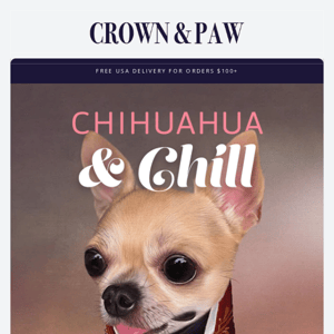 Chit-chatting with Chihuahuas 🥰