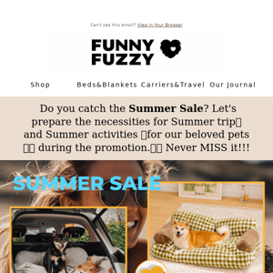 Summer Sale