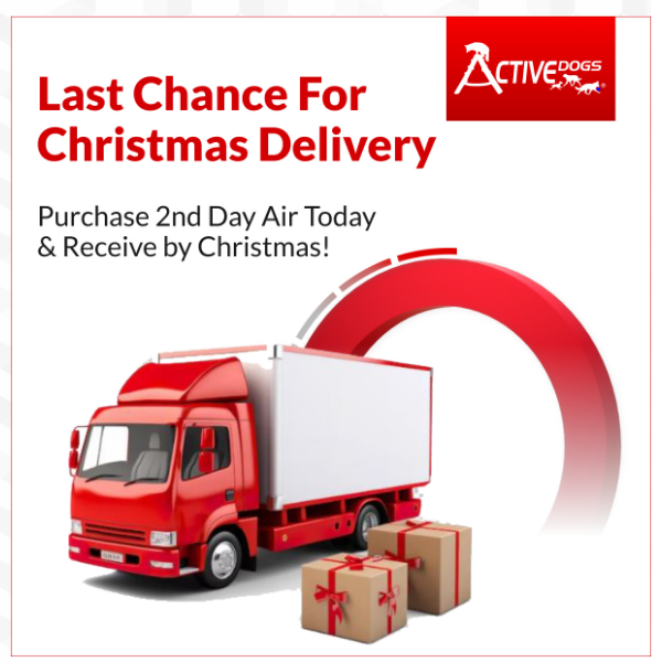 Last Chance For Christmas Delivery