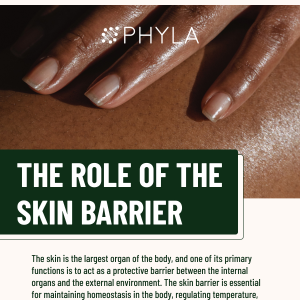 The role of the skin barrier