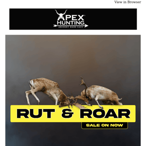 RUT Sale ending soon!