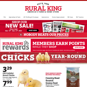 Whether You're Adding to the Flock or Just Getting Started - We've Got You Covered w/Deals!