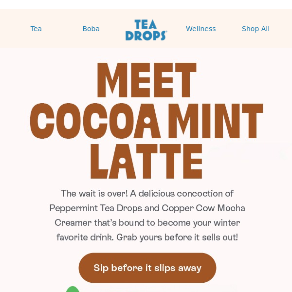 Introducing: Cocoa Mint Latte 💚🤎