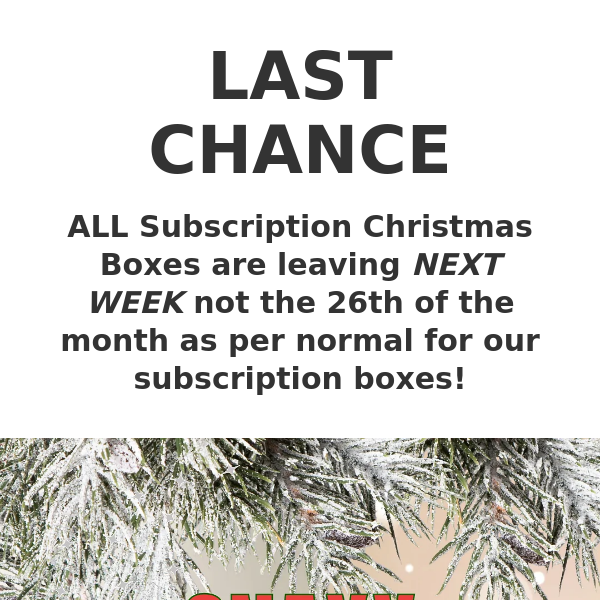 LAST CHANCE TO GET OUR SNAXX Christmas Box!