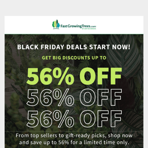 Fast Growing Trees, Black Friday Starts Now - Up to 56% Off