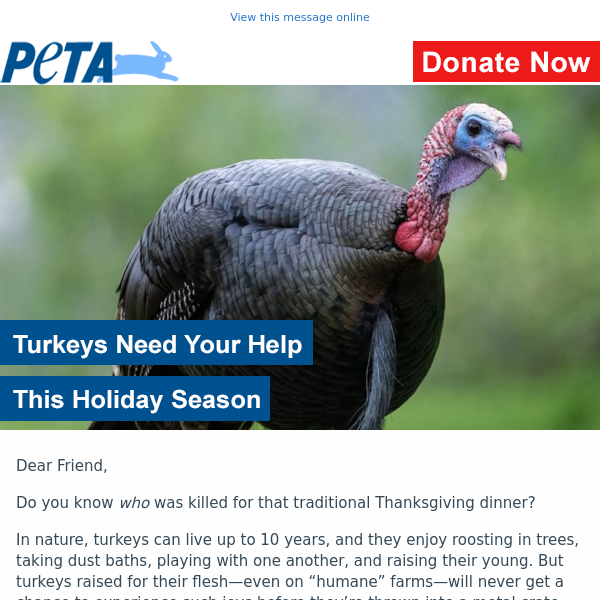 A simple way to help end turkey abuse