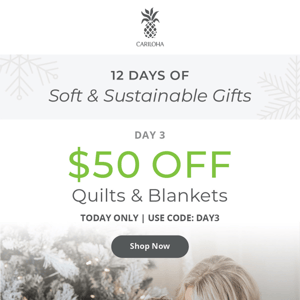 $50 Off Quilts & Blankets