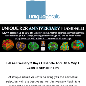 2 day REEF2REEF Anniversary Flashsale kicks starts NOW! Over 1100+ corals discounted at up to 70% off  ﻿ ﻿ 　　