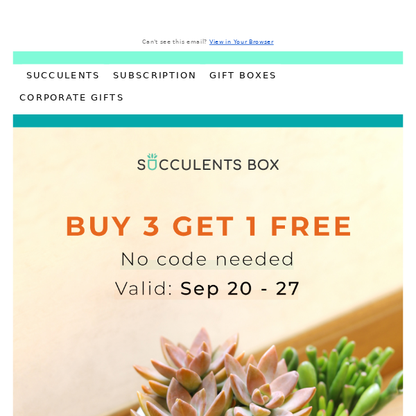 Get a free plant when you buy 3!