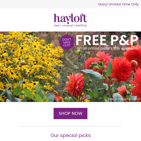 Free P&P On All Online Orders This Weekend – Hurry! - Hayloft