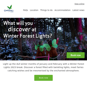 Create lifelong memories on a Winter Forest Lights break