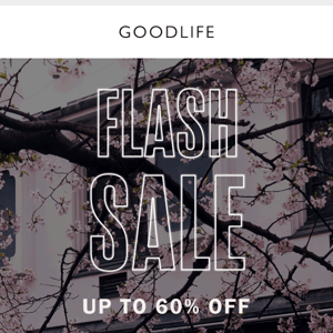 FLASH SALE - Up to 60% OFF