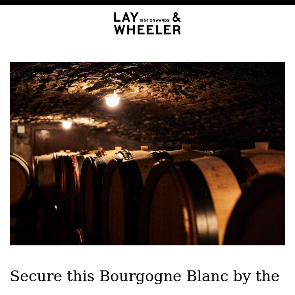 The brilliant value White Burgundy that no one should be without