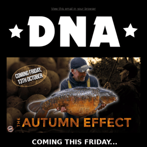 🎥 COMING THIS FRIDAY... THE AUTUMN EFFECT