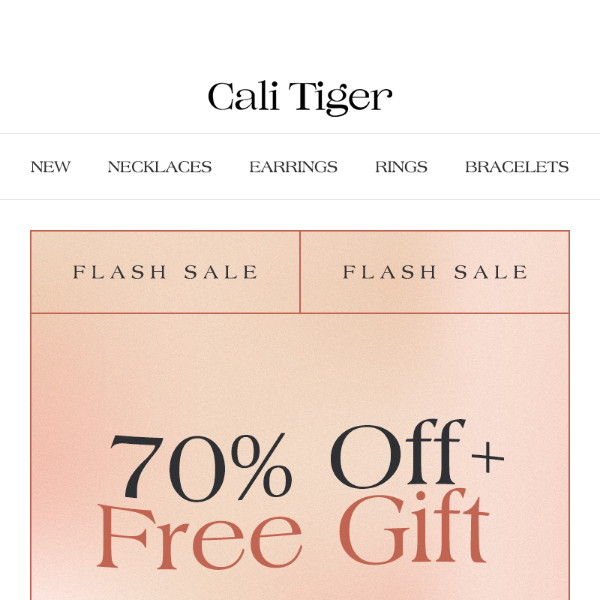 ⚡ Flash Sale Alert: 70% Off + Free Gift with Gold Membership!