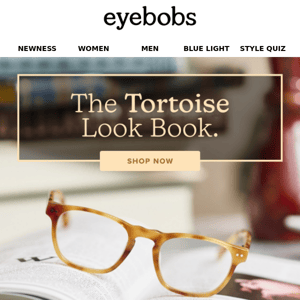 Tortoise frames all the way down.