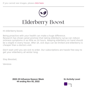 Elderberry Boost, It's cheaper than a doctor's visit  😷