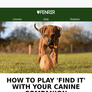 How To Play 'Find It' With Your Canine Companion